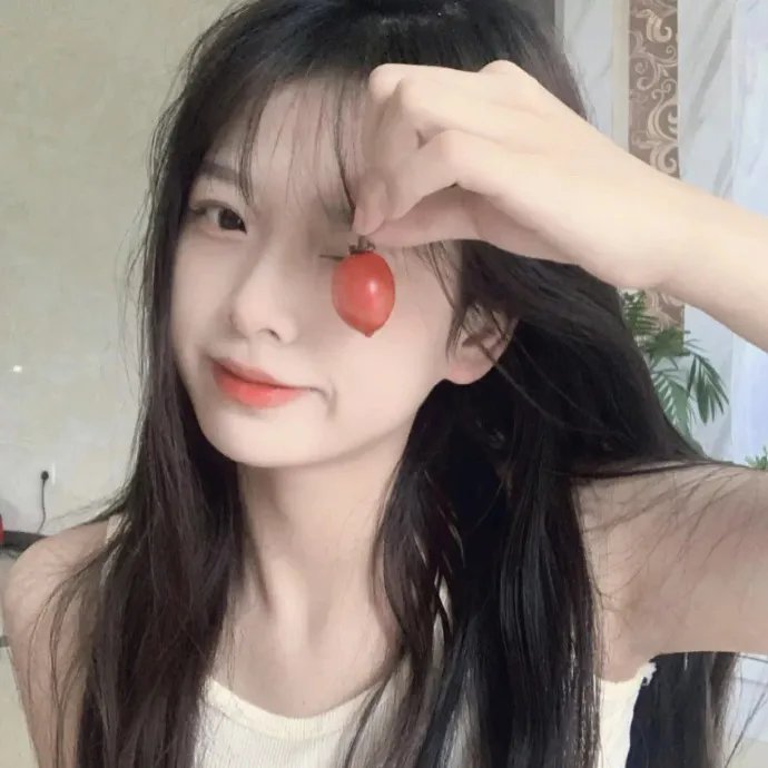 真假维梅尔